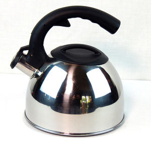 Mr Coffee Stainless Tea Kettle Pot Whistling